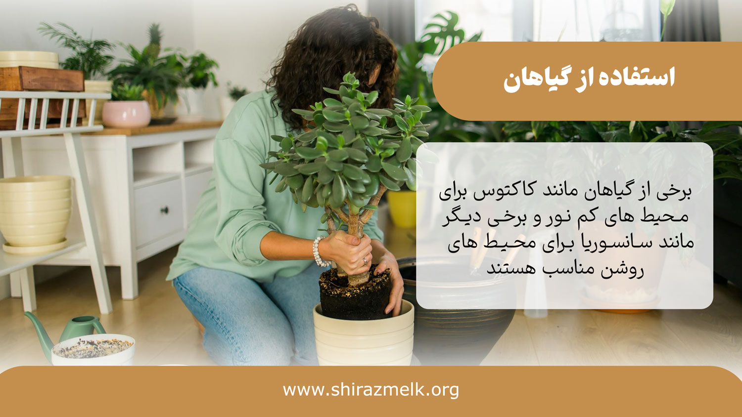 استفاده از گیاهان