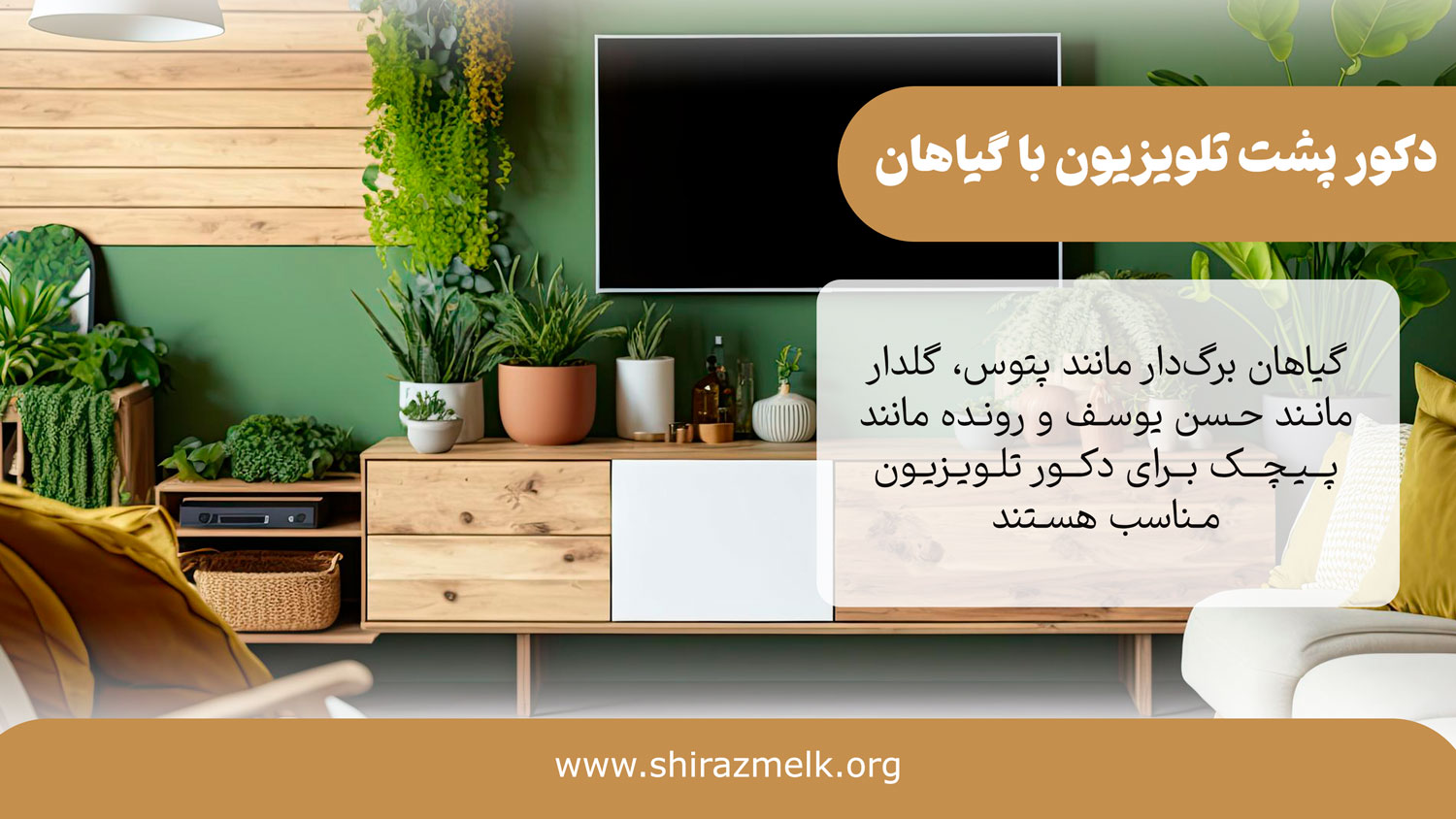دکور تلویزیون با گیاهان