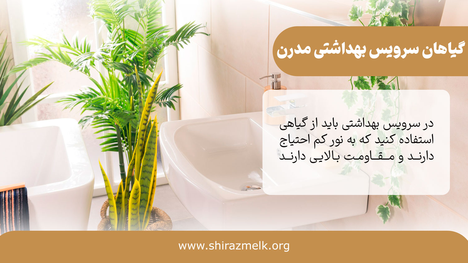 گیاهان در سرویس بهداشتی